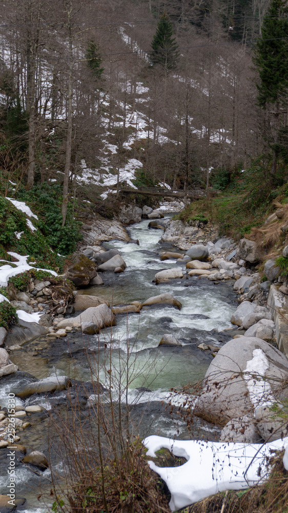 Nature in winter Nature in winter