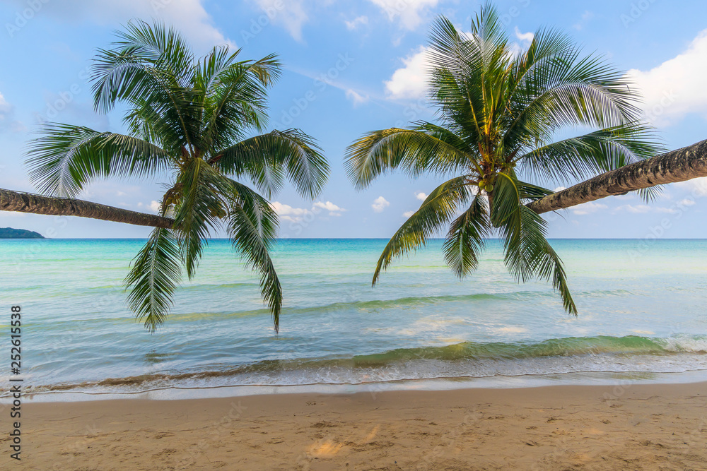 Palm trees, beautiful beaches on Koh Kood, Thailand Palm trees, beautiful beaches on Koh Kood, Thailand