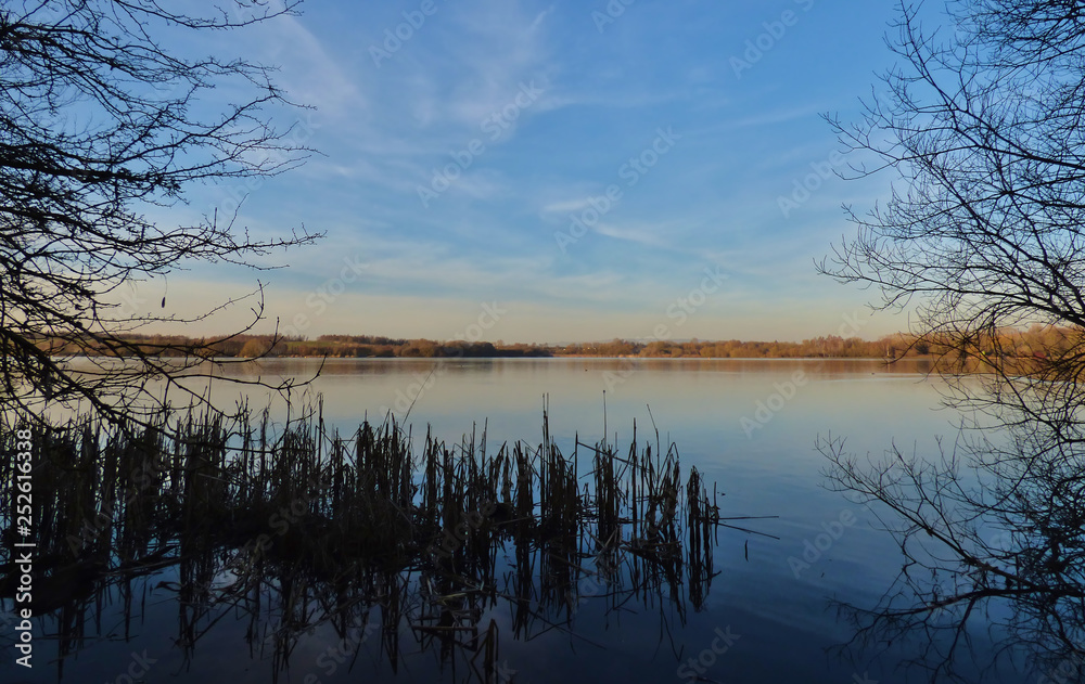 Lake with Trees Both Sides