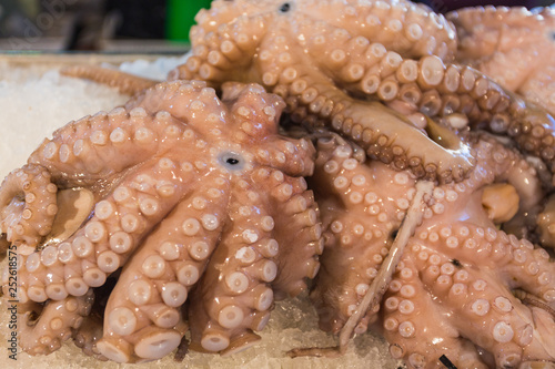 fresh octopus on a fish market