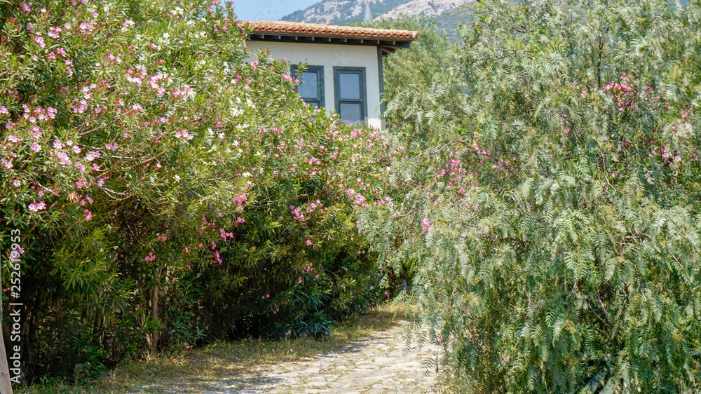 Fototapeta premium Wieś Dogankoy