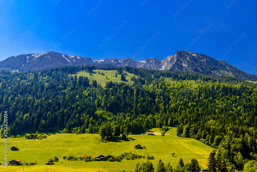 Mountains with meadows, forest and blue sky in Darstetten, Fruti