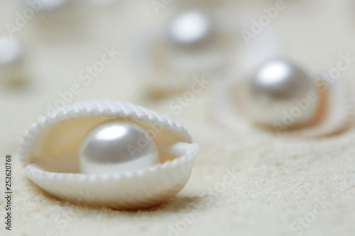 Organic pearls in shells. Beautiful seashells arrangement on the white beach sand. Treasure from the sea concept.
