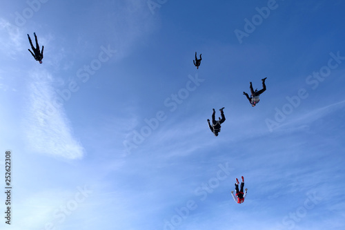 Skydiving. A flock of skydivers is flying in the sky.