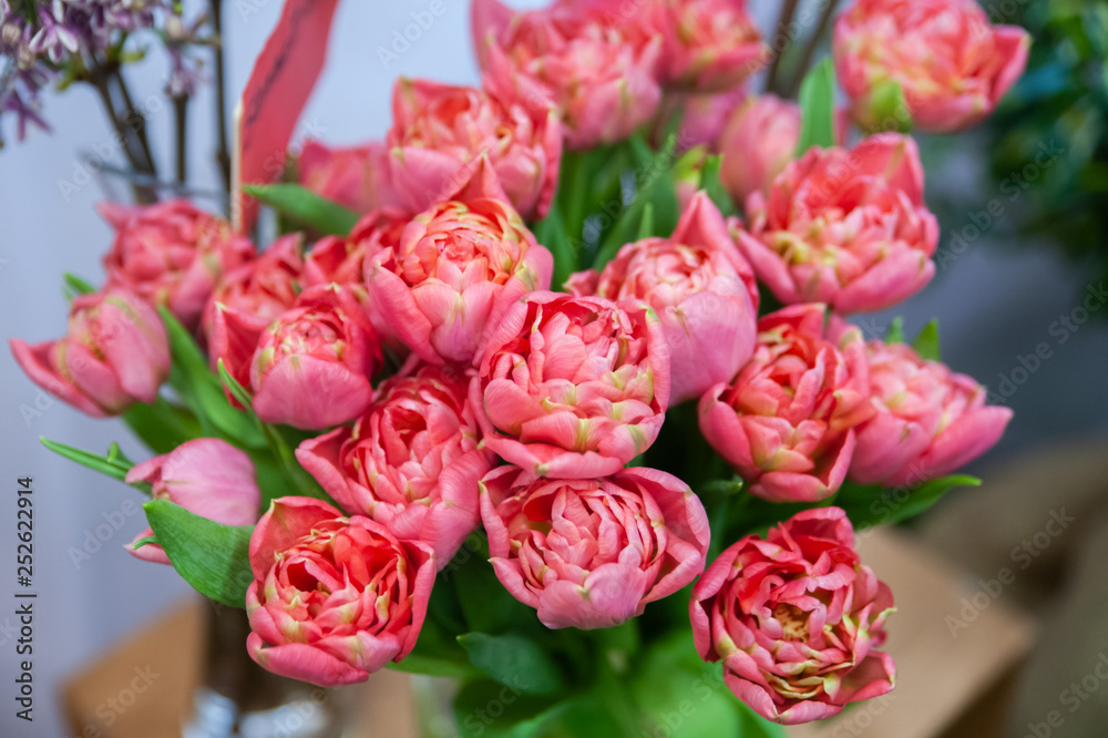 Bouquet of soft pink tulips. Ggreeting card for mothers day, 8 March Hello Spring Bouquet of soft pink tulips. Ggreeting card for mothers day, 8 March Hello Spring