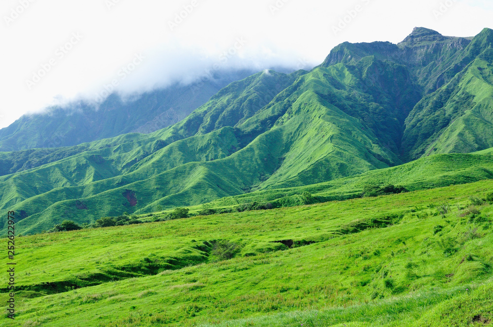 阿蘇新緑の山と草原