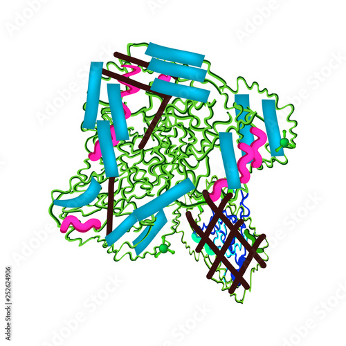 Molecular structural chemical formula Lipase. Enzyme digestive tract lipase. Infographics. Vector illustration on isolated background.