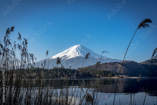 Fuji Reflection