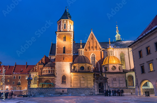Wawel cathedral illuminated at winter night, Krakow, Poland