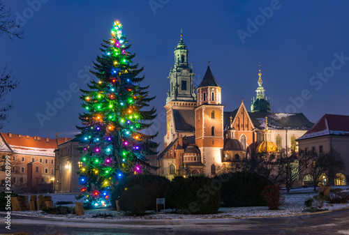 Krakow, Poland, Wawel cathedral and Christmas tree, winter night