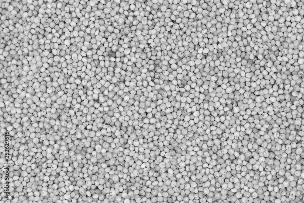 White seeds and grains of cereals background texture White seeds and grains of cereals background texture