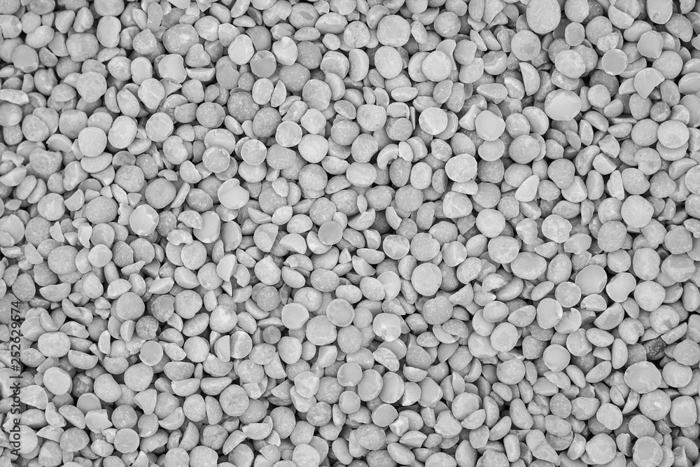 White seeds and grains of cereals background texture White seeds and grains of cereals background texture