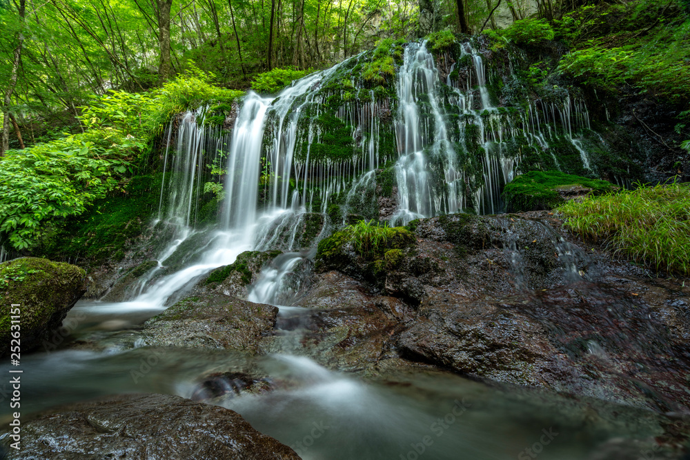 叶山　白水の滝