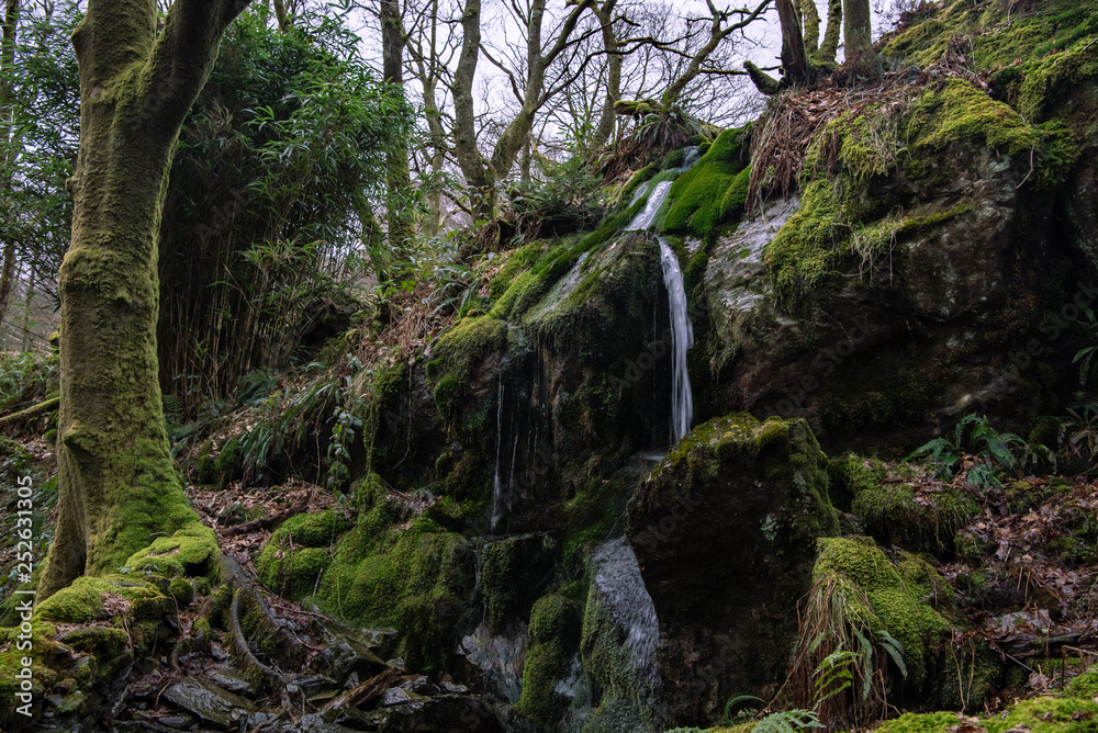 Fototapeta premium waterfall in deep forest