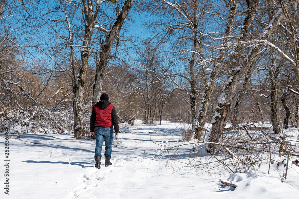 Lonely man walking on the snow in the winter forest