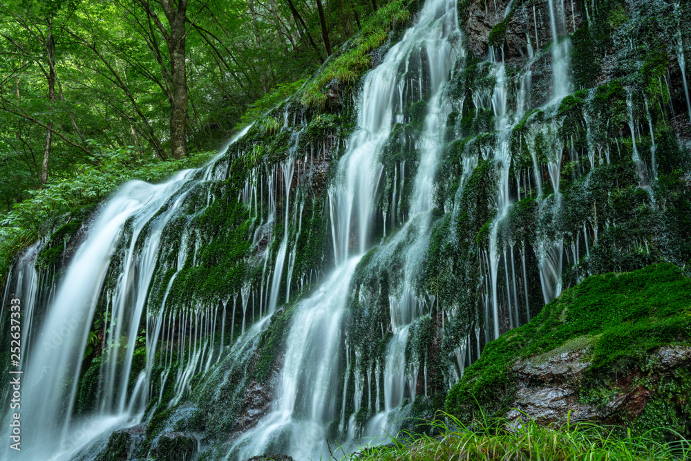 Obraz premium 叶山 白水の滝