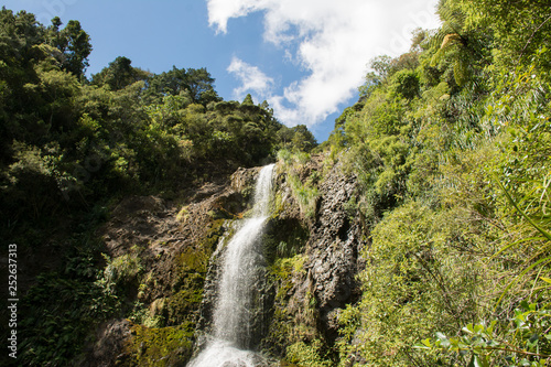 Kitekite falls near Piha beach at the east coast of Auckland  New Zealand