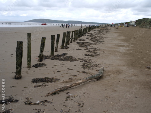 Wooden poles along the line of the beach at low tide.