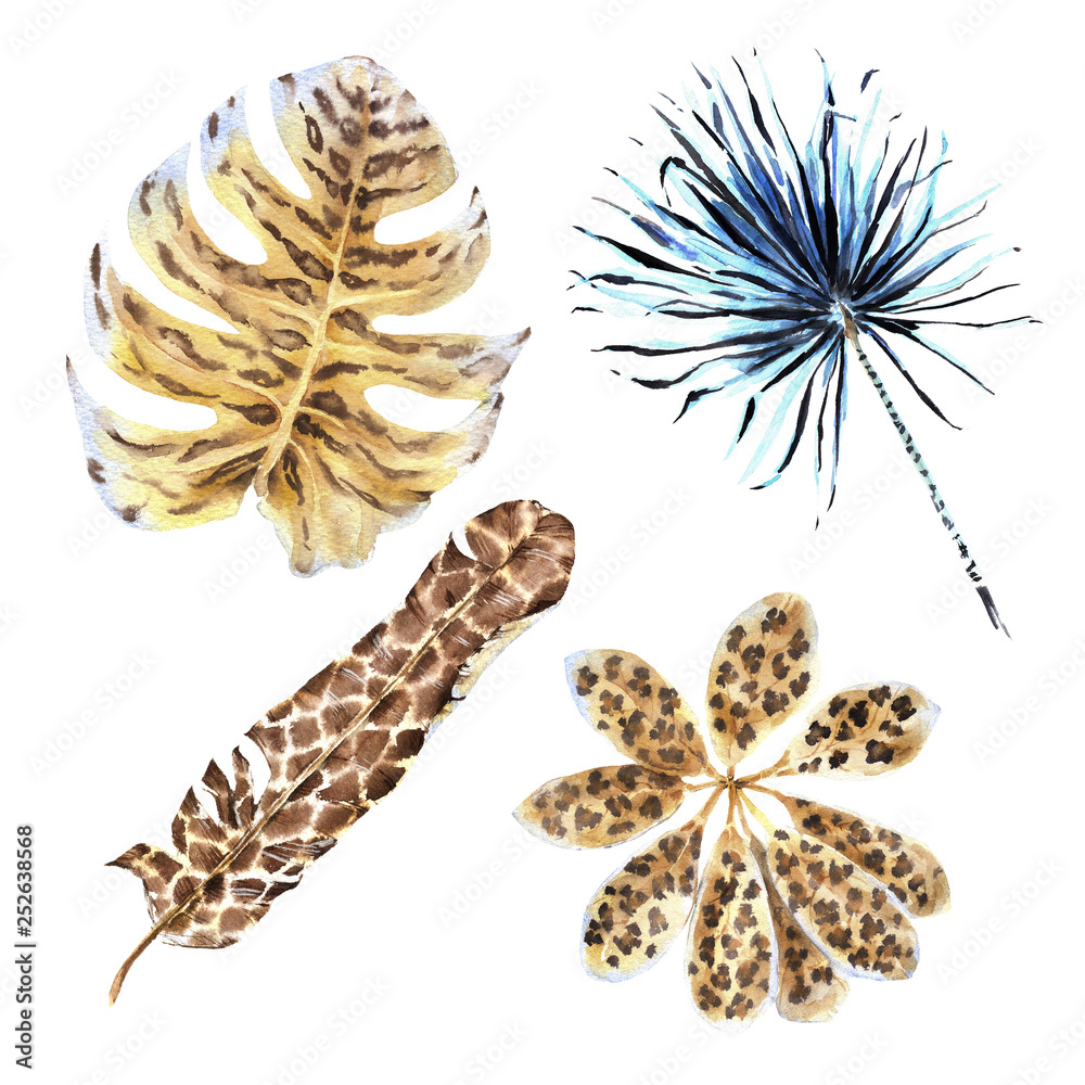 Feathers And Leaves Wild Animals Watercolor Set Feathers And Leaves Wild Animals Watercolor Set