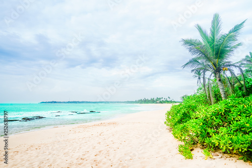 Fototapeta Naklejka Na Ścianę i Meble -  Tropical beach next of Tangalle - Sri Lanka