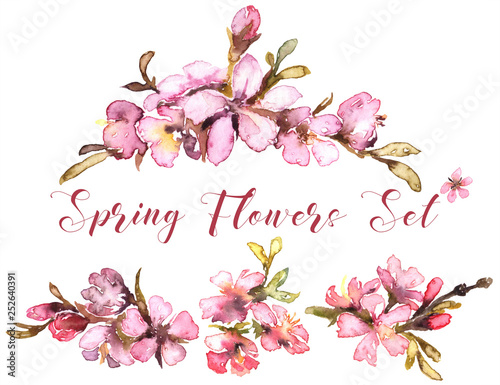 Spring Flowers Watercolor Set. Tender Blush Flowers. Floral Buds on transperent background