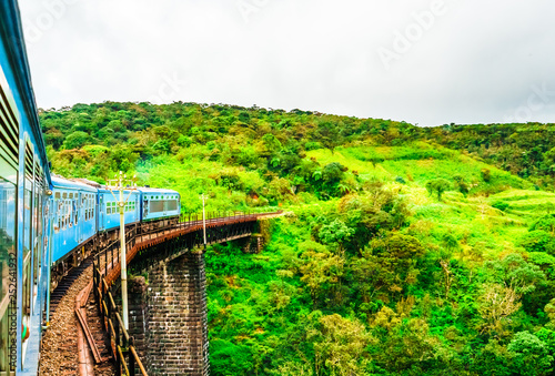 Train near Ella, running through tea fields. Sri Lanka