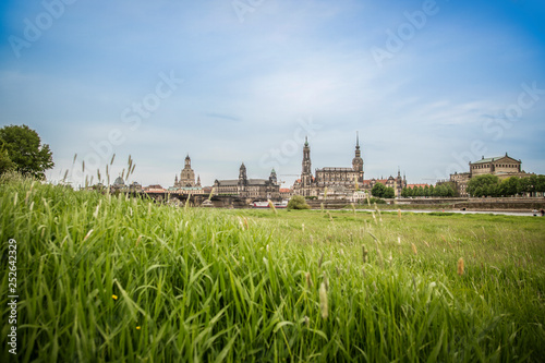 Dresden Skyline grüne Elbwiesen photo