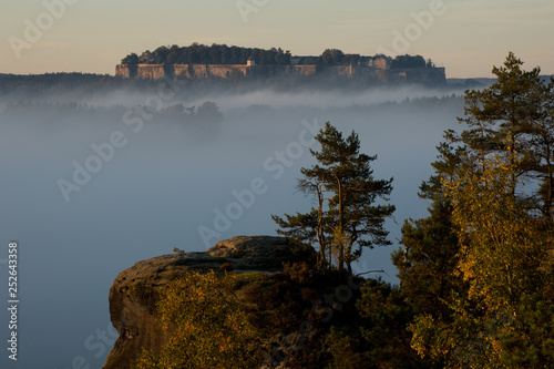 Festung Königstein überm Morgennebel