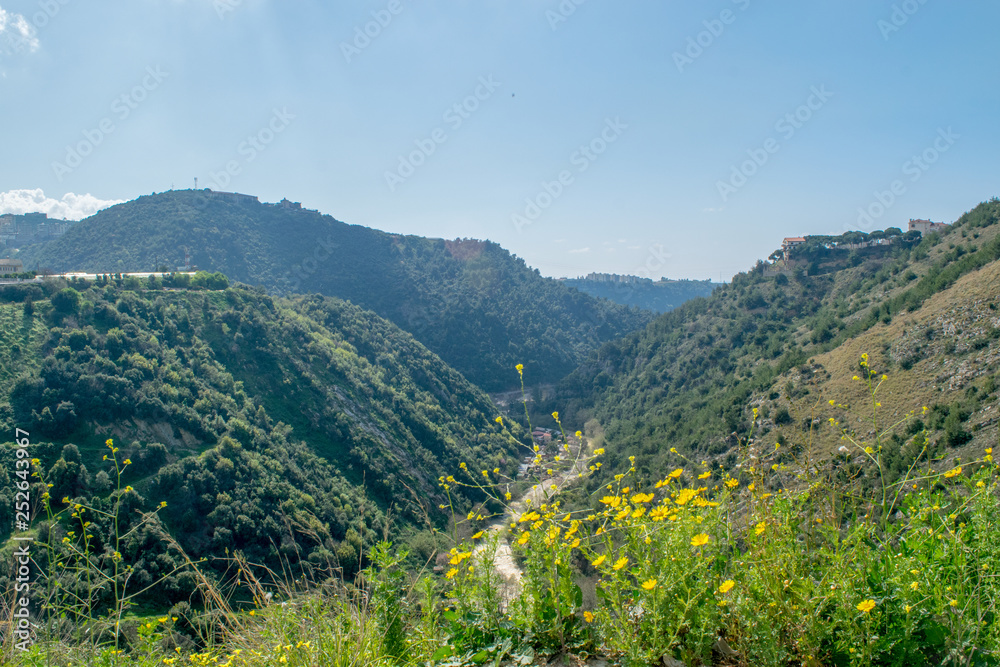 Naklejka premium Libanon