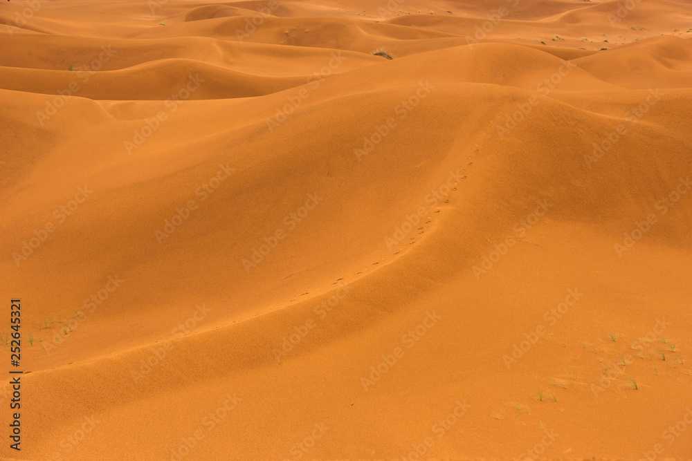 The beauty of the sand dunes in the Sahara Desert in Morocco.