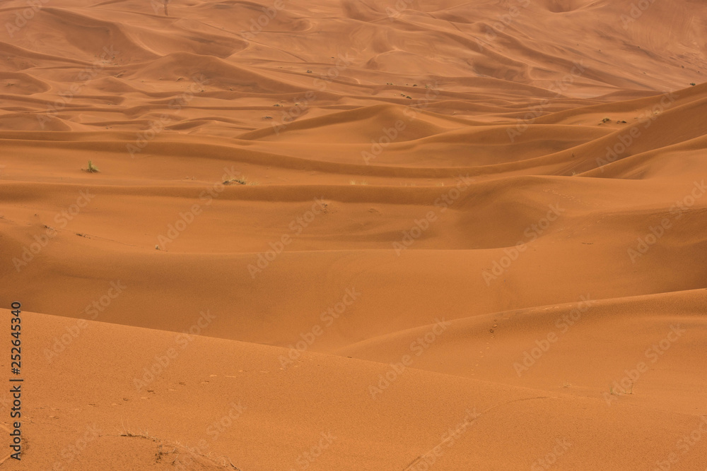 The beauty of the sand dunes in the Sahara Desert in Morocco. The beauty of the sand dunes in the Sahara Desert in Morocco.