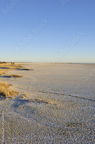 Namibia: At the boarder of the Etosha salt pan.