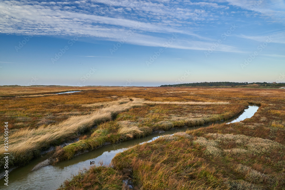 Obraz premium salt marsh