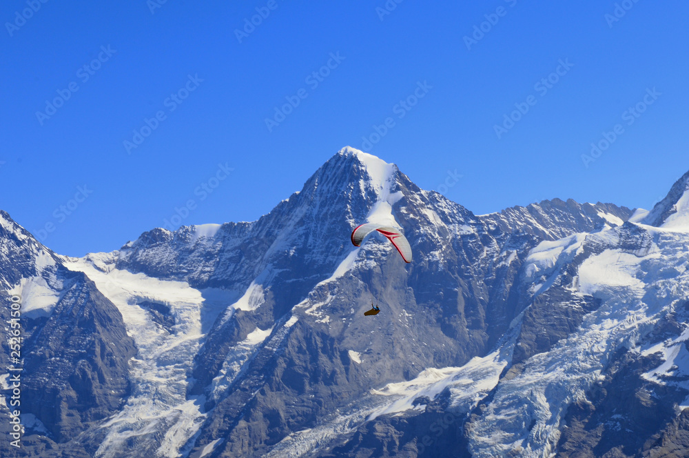 Scenic paragliding flight in front of the Eiger, Mönch and  Jungfraujoch massiv in the Bernese Oberland