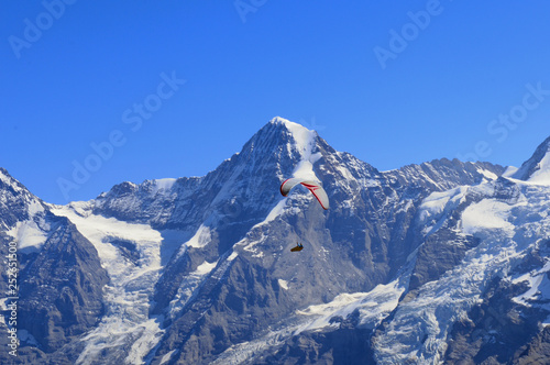 Scenic paragliding flight in front of the Eiger  M  nch and  Jungfraujoch massiv in the Bernese Oberland