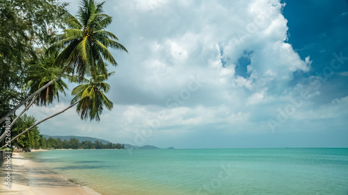 Tropical Sea Shore with White Sand and Reclining Coconut Palm Trees over Beach