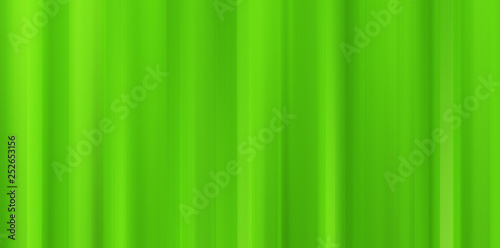 abstract blurred spring background in green color