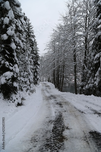 gorgeous winter photos.savsat/artvin/turkey