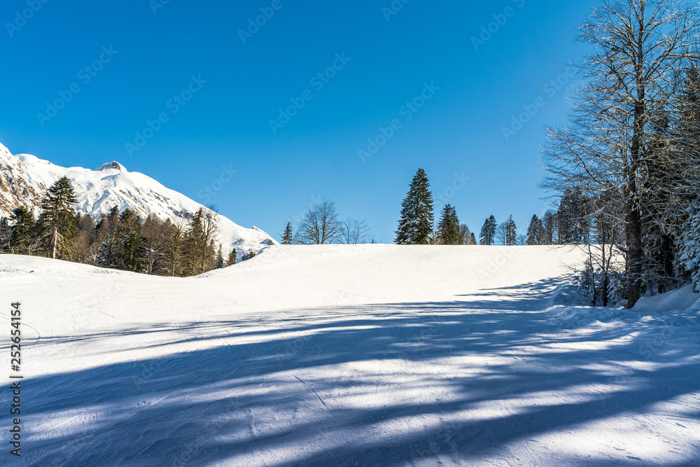 Winter landscape of the Krasnaya Polyana ski resort.