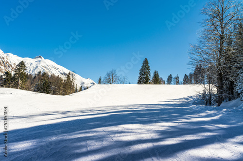 Winter landscape of the Krasnaya Polyana ski resort.