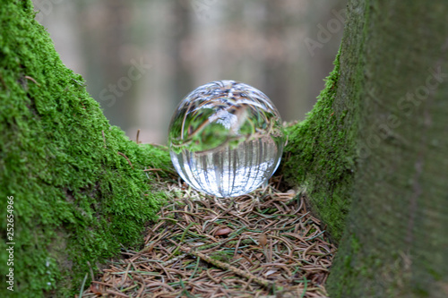 glass sphere in forest