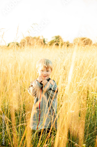 Boy, photographed on the field, among the yellow spikelets © Ольга Волошко
