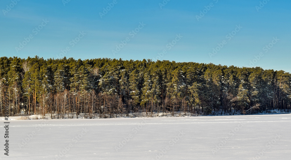 custom made wallpaper toronto digitalBeautiful winter landscape photos. Blue sky and winter forest.