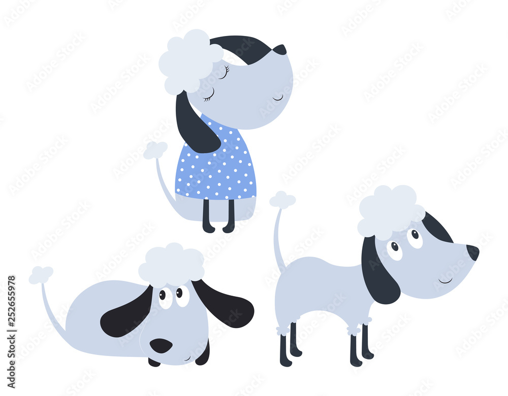 Obraz premium set with cute poodles