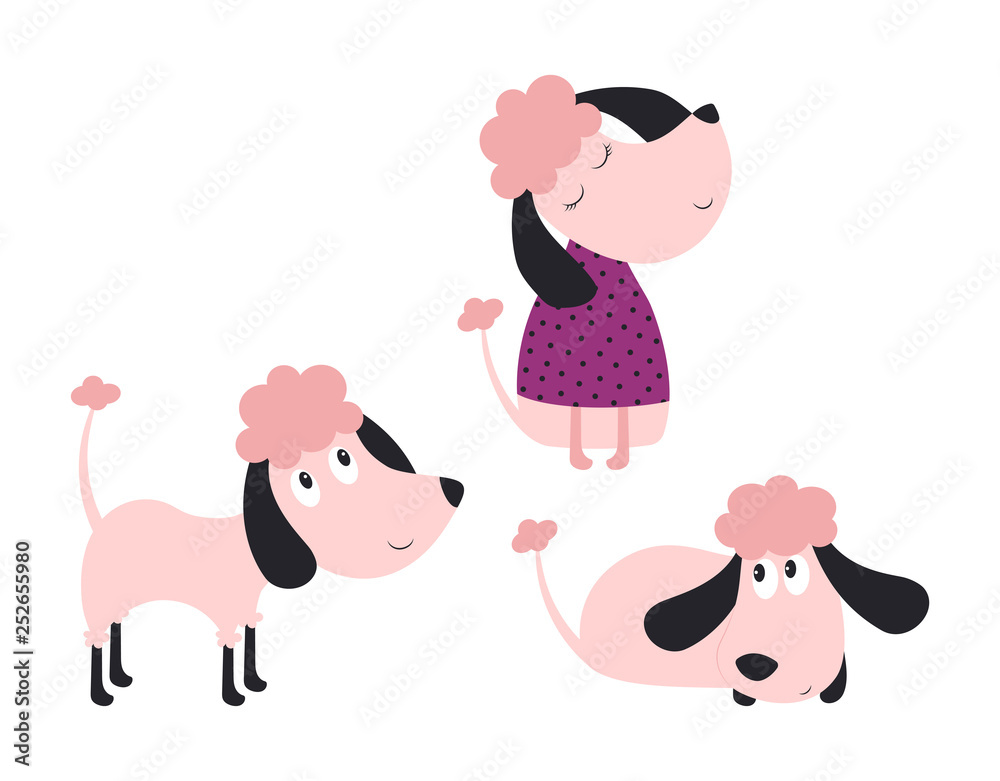 Obraz premium set with cute poodles