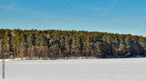 Wallpaper Mural Beautiful winter landscape photos. Blue sky and winter forest. Torontodigital.ca