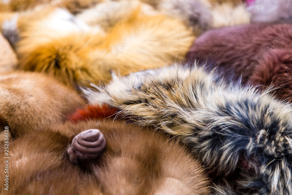 furs furs