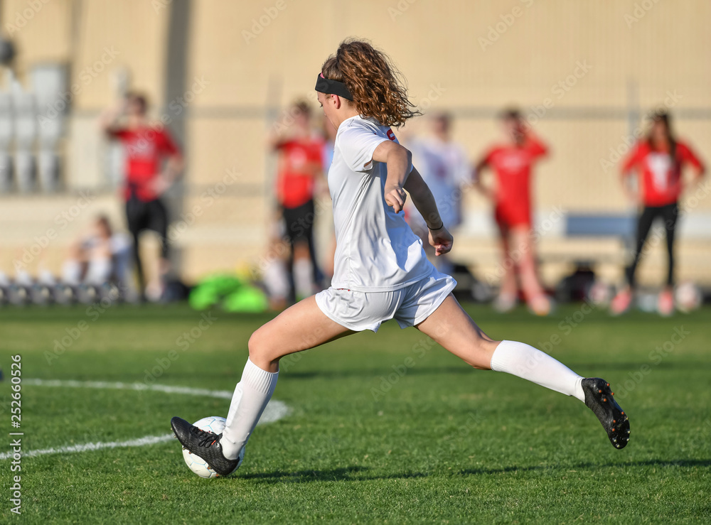 Obraz premium Young soccer player in action