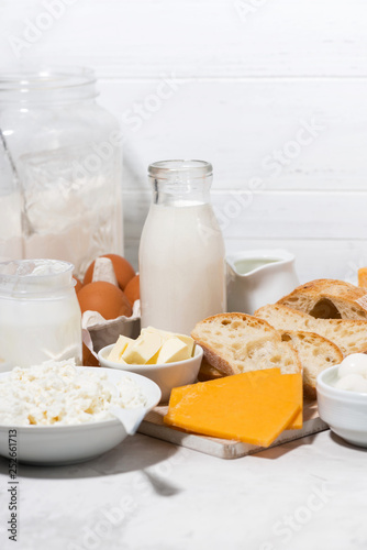 assortment of fresh farm dairy products, vertical