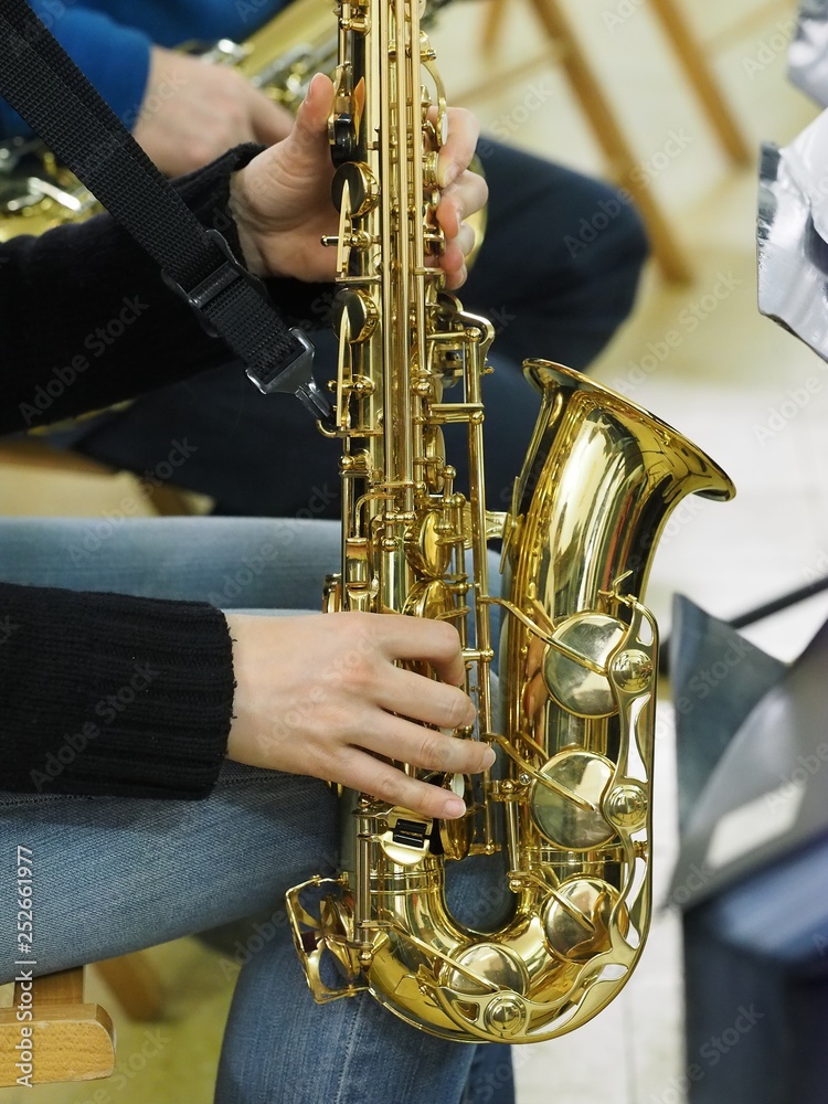 Fototapeta premium Sax and female hands.